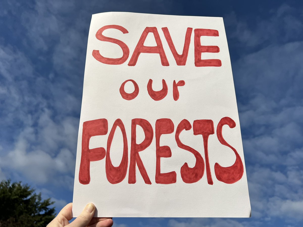 Katie Holten | Language of Trees🌳 | CRISIS 🇵🇸 tweet media