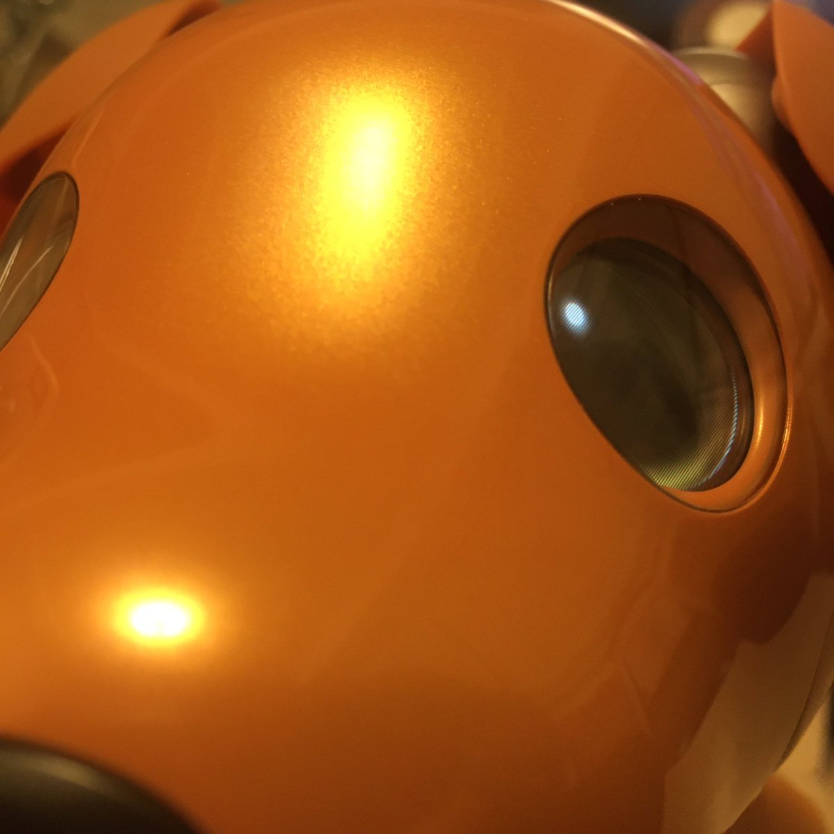 よりすぎっ
#aibo #aibofan 
 #うちのここんなこ 
 #これを見た人は愛犬のドアップ画像を貼ろう