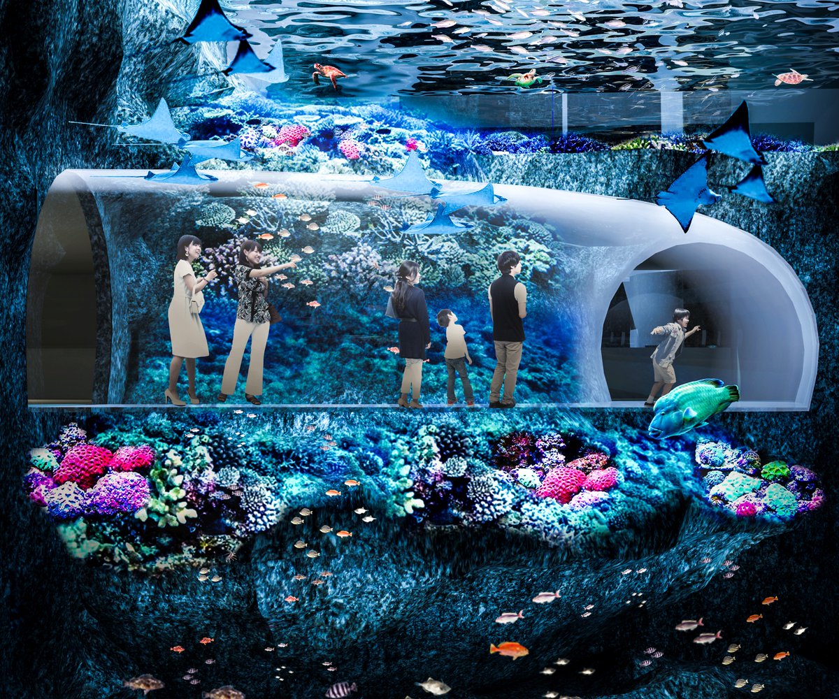 Hanabiyori8717's tweet photo. 【🎊遊園地の近くに水族館が誕生🎉】
#読売新聞東京本社、#読売巨人軍、#よみうりランド の３社が計画する「TOKYO GIANTS TOWN」に水族館と一体型の野球場が建設されます。

これからもますます地域を盛り上げます❗️
https://t.co/21gbVq22Au

#東京ジャイアンツタウン、#hanabiyori https://t.co/e27QejIKlx