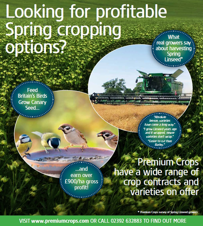 PremiumCrops's tweet photo. Fields still not ready? We have all the late sown Spring cropping options you need. #springcropping #springcrops #canaryseed #springlinseed https://t.co/Nm6PNfxvjo