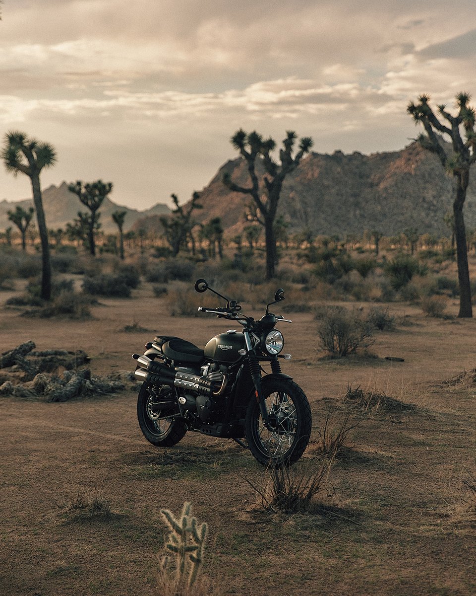 UKTriumph's tweet photo. With rugged off-road attitude, cool versatility and iconic style, the Scrambler 900 has the capability and performance for all-road fun.

Credit: Shane Benson

Where is your favourite off-road destination to ride?

Configure yours: https://t.co/mdJ9lG5GQ1 https://t.co/ouUh94Q2uS