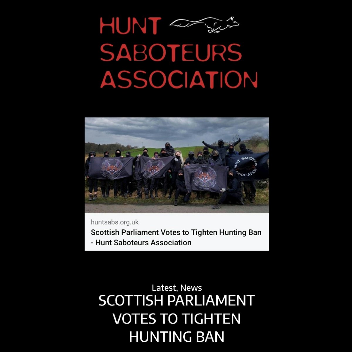 StubblyStephie's tweet photo. Let's hope the cvnts at Westminster don't try to overturn this piece of Scottish legislation....
Scottish Parliament Votes to Tighten Hunting Ban - Hunt Saboteurs Association.
https://t.co/8HXEuiphIA
#huntsabs #scottishparliament #tightenhuntingban #huntingban https://t.co/ko2OBhyshU