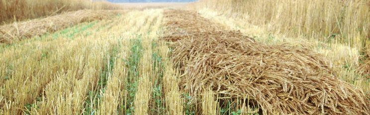 Ludovic Roncin🇨🇵 tweet media