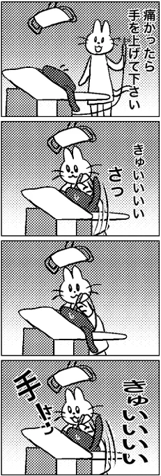 #いわねこ
64 