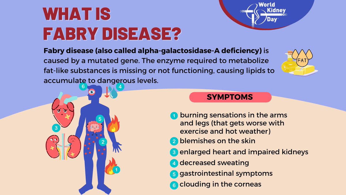 worldkidneyday's tweet photo. Fabry disease is a rare inherited disorder that affects fat metabolism. If left untreated, it can lead to strokes, heart disease, or kidney failure. The best way to diagnose if you have #FabryFisease is through a #GeneTest. #RareDiseases #NCD #KidneyDisease #WorldKidneyDay https://t.co/v2cQK2qzgN