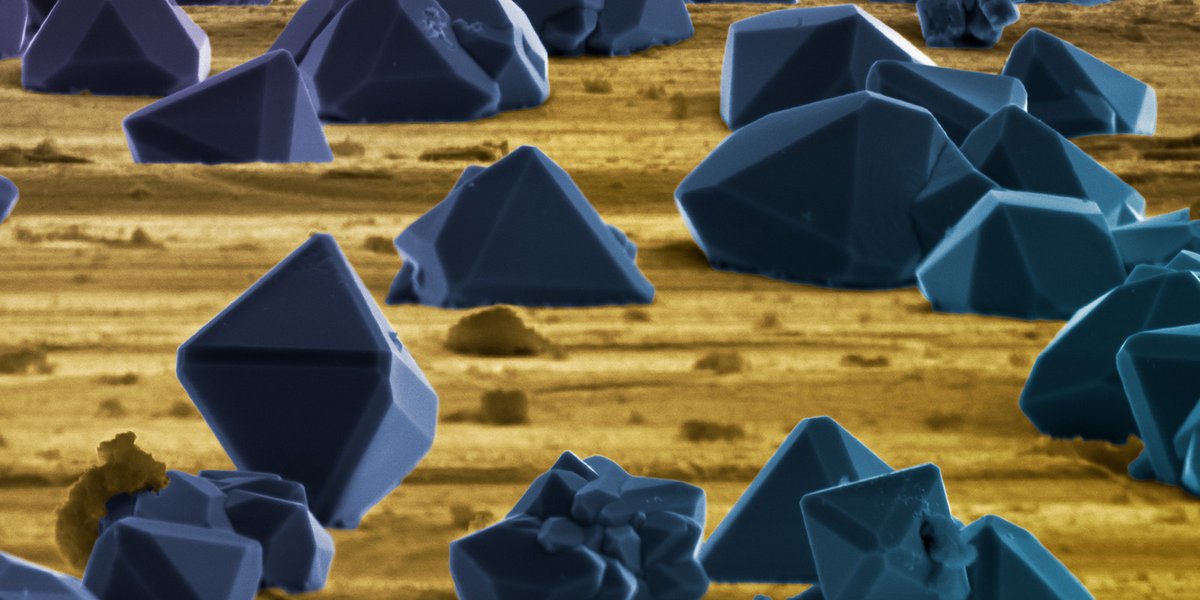 Don't miss the next International Microscopy Lecture: Professor Frances Ross <a href="/mit_dmse/">DMSE at MIT</a> 'Microscopy in motion: understanding how crystals grow through electron microscopy movies' (15 Feb, 3pm GMT)

Sign up (FREE) now! rms.org.uk/rms-event-cale…

#IMLS #MicroscopyLectures