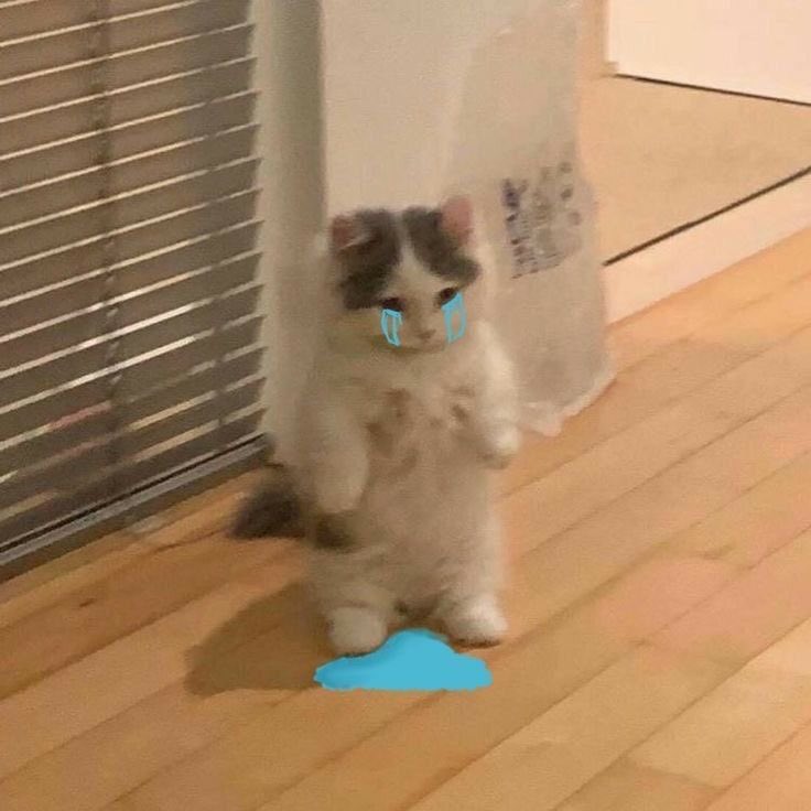 suoonyong's tweet photo. | apparently don’t have enough followers to send dm.. huh... me lonly. https://t.co/t13Cp0bPdF