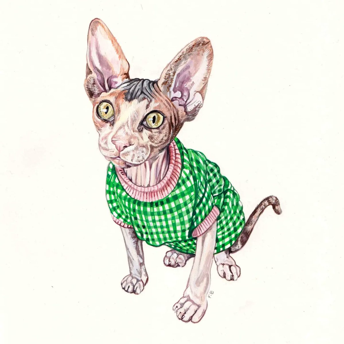 Jealous of this cat commissions outfit 💁🏼‍♀️