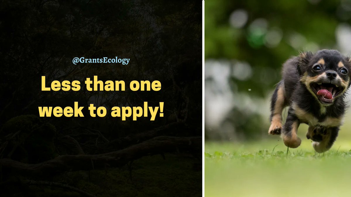 GrantsEcology's tweet photo. ⏳ Less than a week left to apply for the Applied Forest Ecology Scholarship from Ecological Society of Australia.  Apply for up to $3500.  Deadline: 2023-02-01

🔗 https://t.co/NXO9Kr940h

Please RT

#AcademicTwitter @PhDVoice https://t.co/erOyiQlJfq