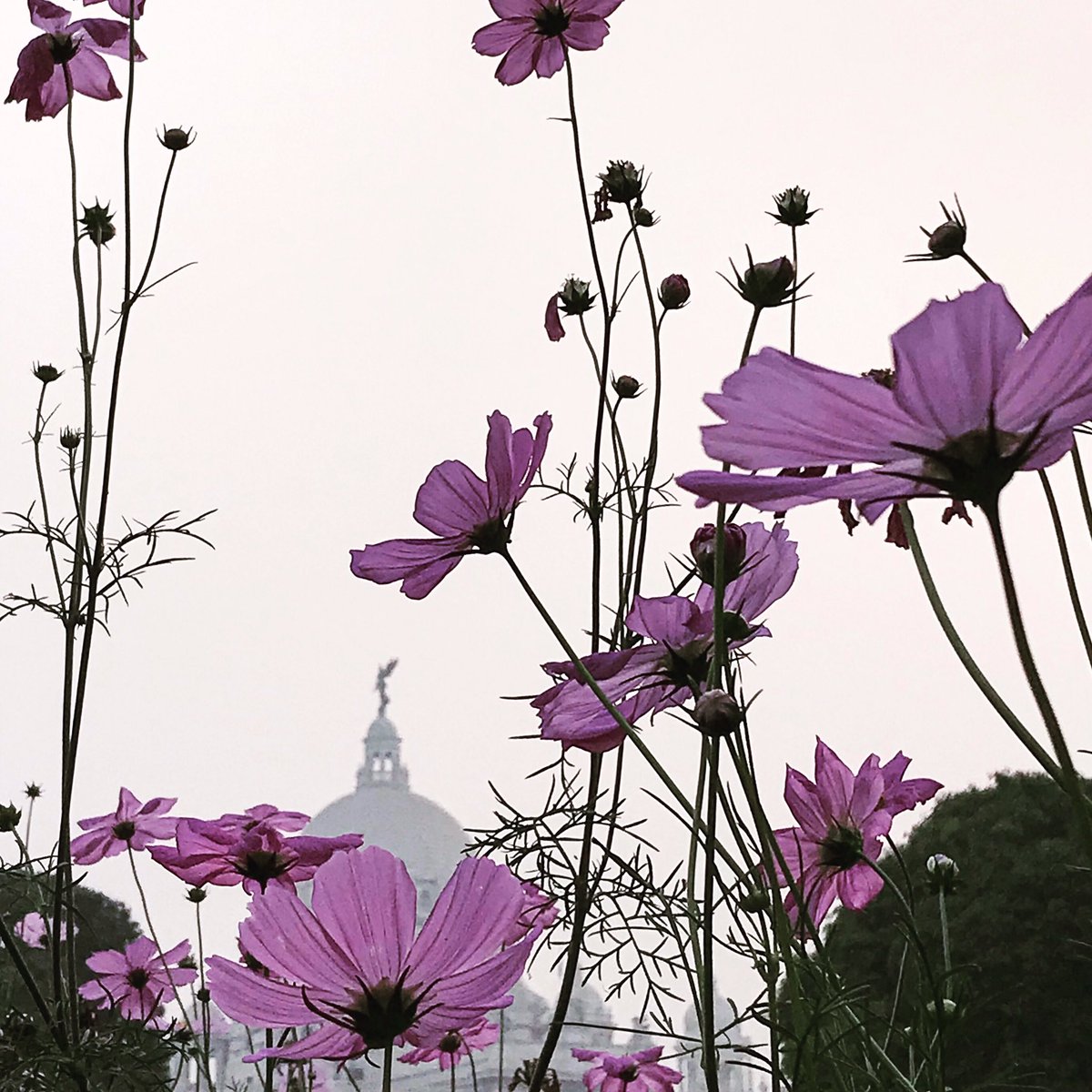 Some places never stop mesmerising. #Kolkata #NationalTourismDay #photooftheday