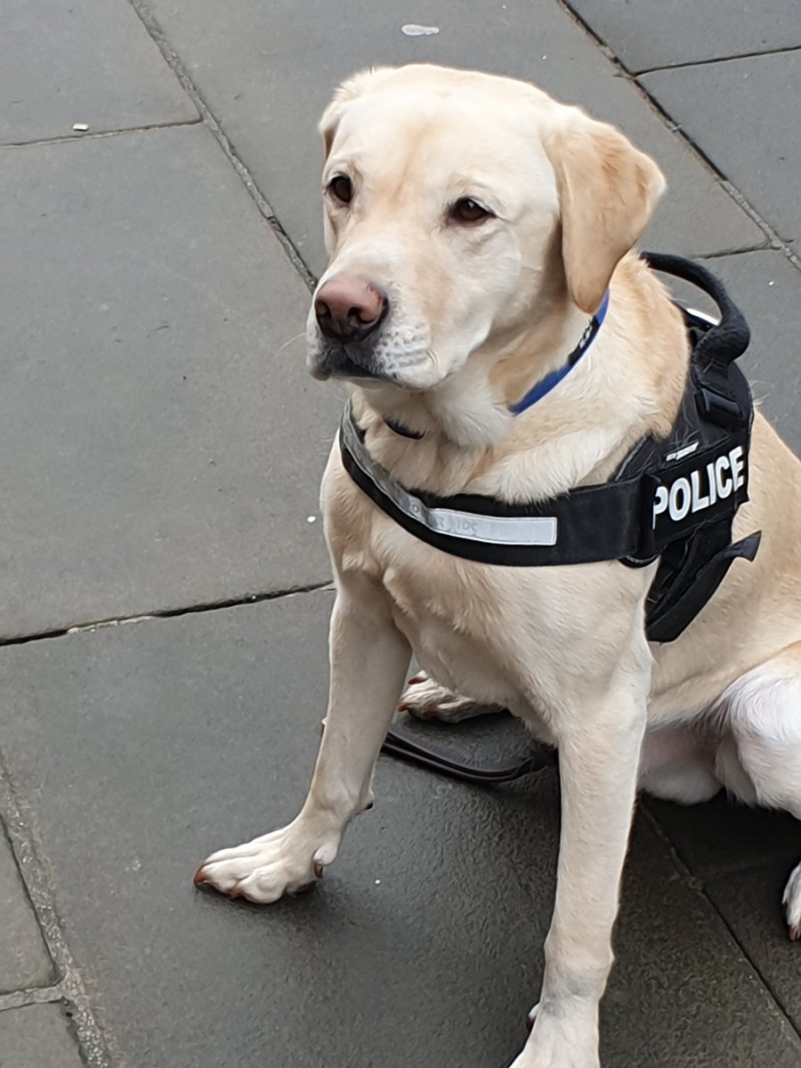 CoventryCityWMP's tweet photo. #Projectorservator were out today in and around Coventry City Centre helping to keep you all safe.
Today we were joined by British Transport Police, Drones, plain clothes officers, Coventry BID, and Police dog Max. @BTPDogs
#NeighbourhoodPolicingWeek https://t.co/AJtRSHCOL2