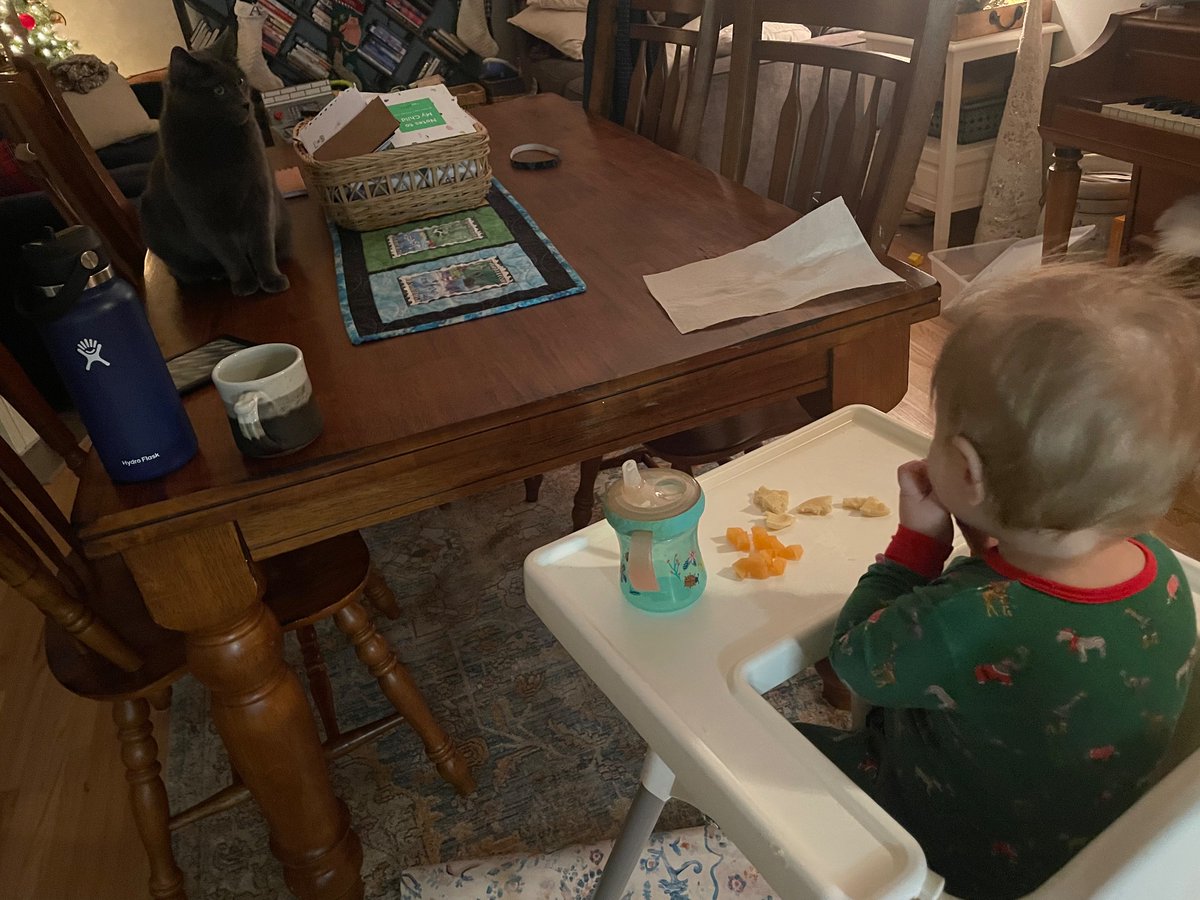 SeanDCleary's tweet photo. Each morning Audrey gets her pancakes for breakfast and discusses current events with Juno https://t.co/2HdPyU2X4N