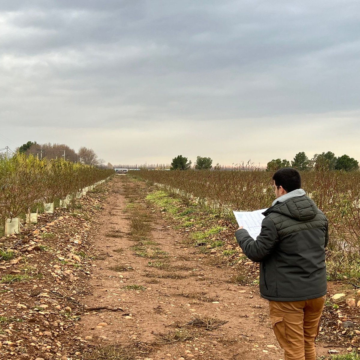 Seguimos aportando nuestra experiencia en la mejora de la gestión de #riego en #cultivos de fruta de hueso, almendro y hortaliza, esta vez en el Sur de #Francia. 

🤝Apoyando a los #agricultores de esta zona.🇫🇷

🌱Apostamos por una #agricultura de calidad eficiente y #sostenible.