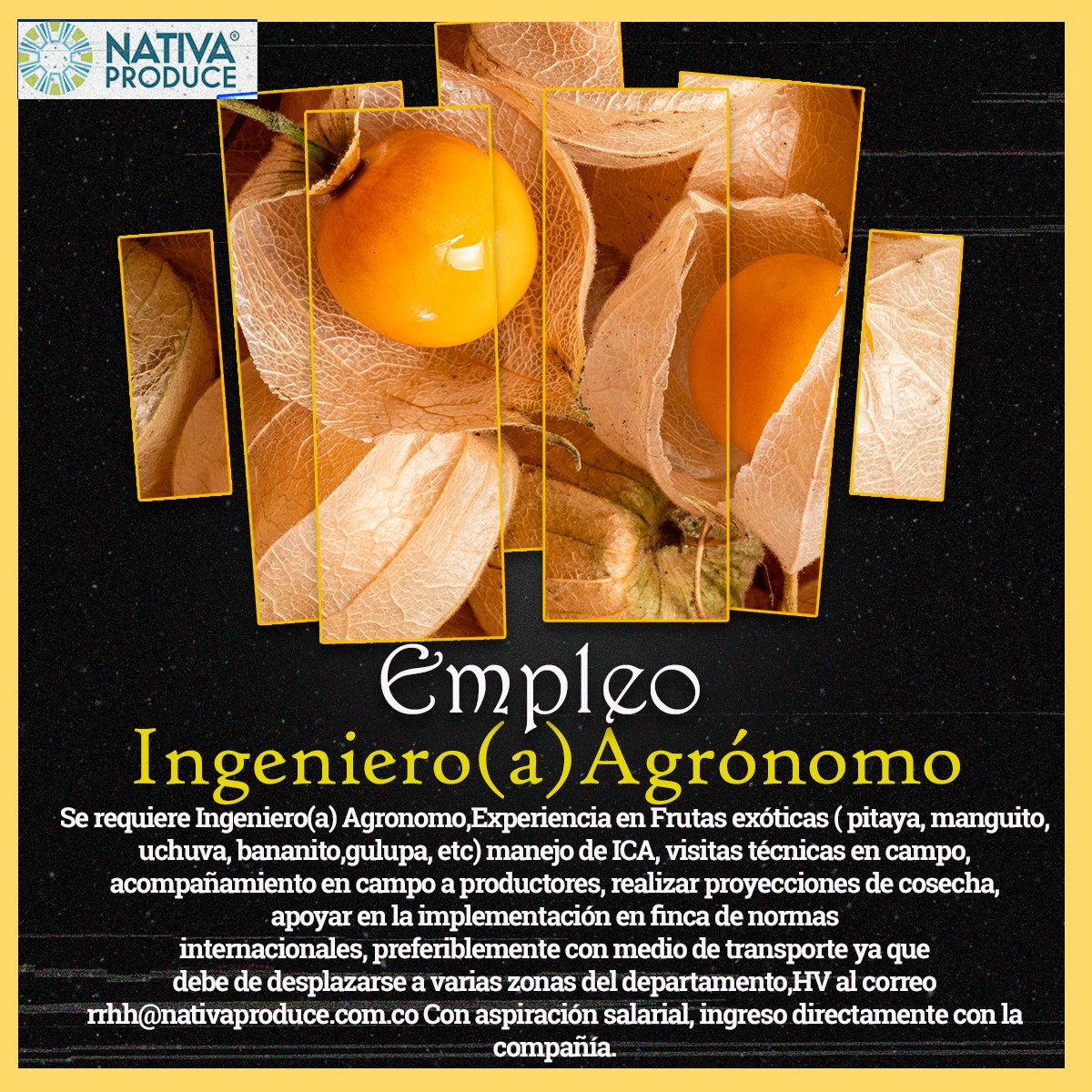 NativaWorldwide's tweet photo. #empleo #empleos #colombia https://t.co/SOeXy8aK46