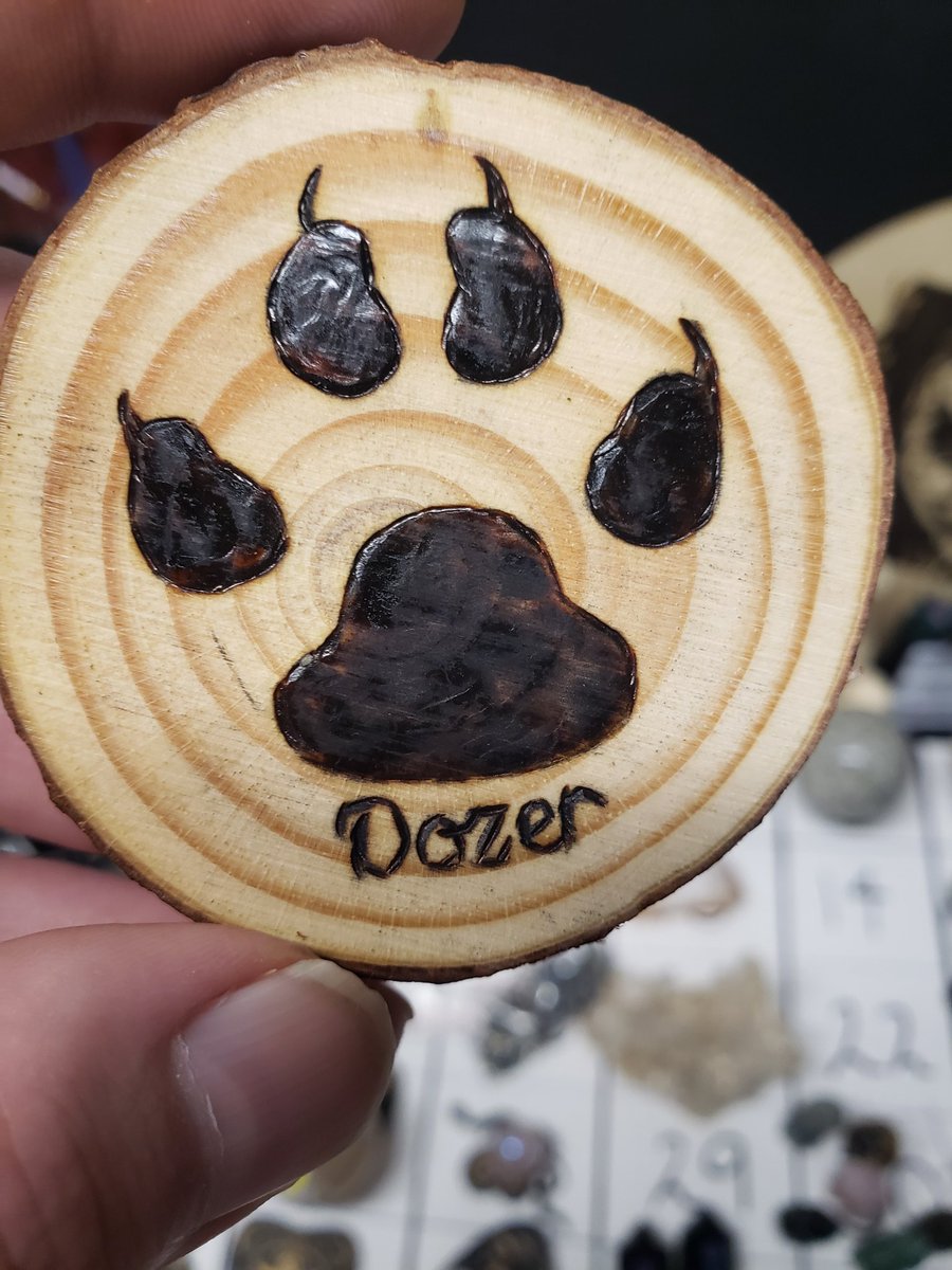 BeantownBully (@beantownbullied) on Twitter photo 