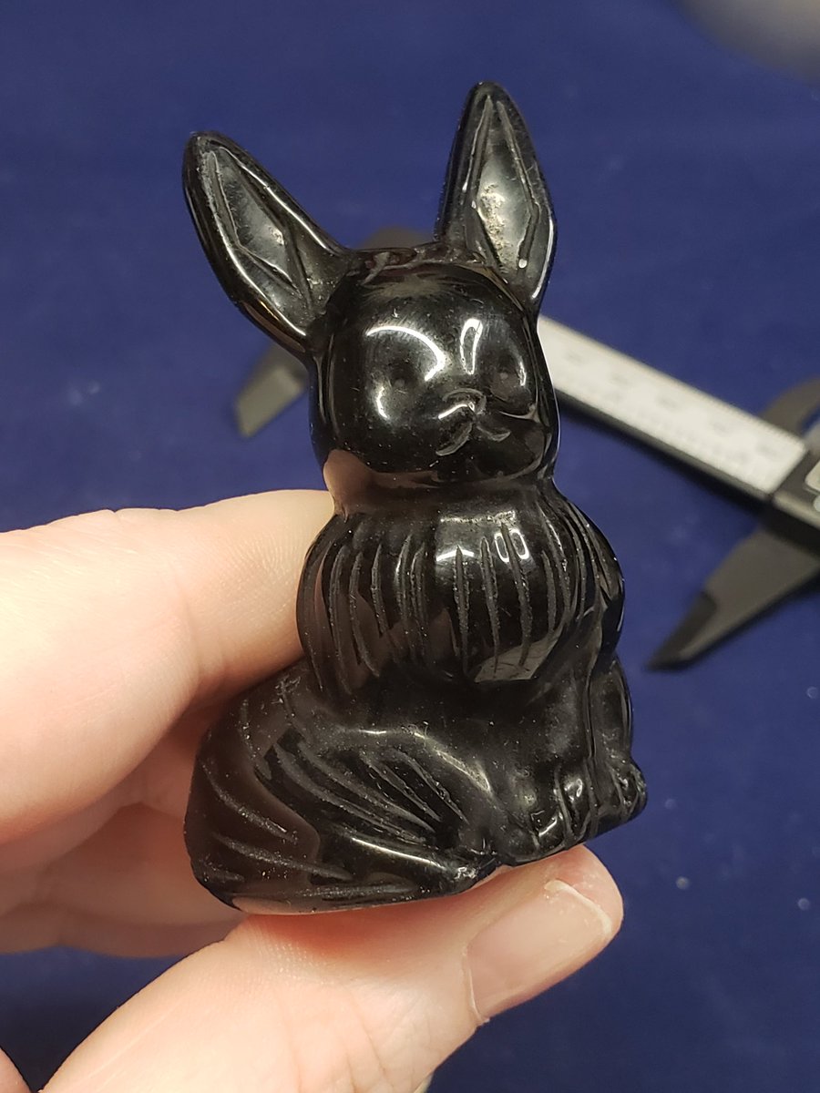 BeantownBully (@beantownbullied) on Twitter photo 