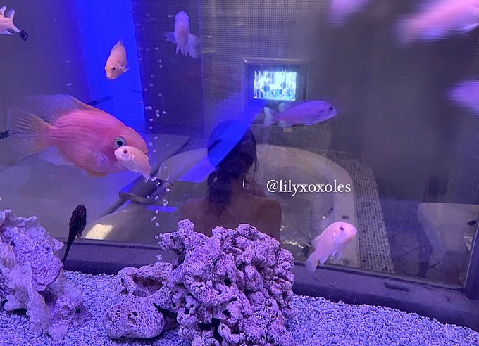 今日は凄く寒かったので、あやちゃんに広いお風呂入りたいね〜って話したらすぐホテルに連れてきてくれた &circ; &bull;͈ &middot;̫ &bull;͈ &circ;♡  後ろ姿からして可愛い&hellip;今から一緒にお風呂入る 🛁🧴 https://t