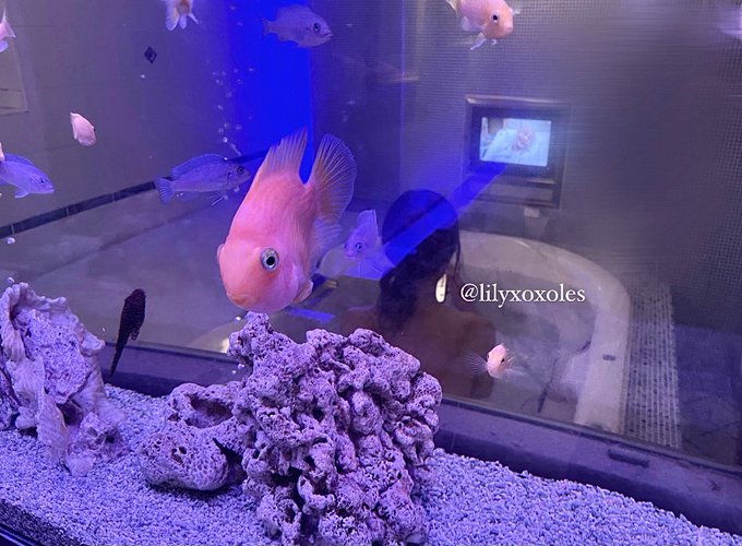 今日は凄く寒かったので、あやちゃんに広いお風呂入りたいね〜って話したらすぐホテルに連れてきてくれた &circ; &bull;͈ &middot;̫ &bull;͈ &circ;♡  後ろ姿からして可愛い&hellip;今から一緒にお風呂入る 🛁🧴 https://t