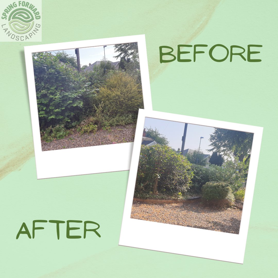 SpringForwardLS's tweet photo. Have you moved into a new property or looking to have a new year tidy up?

Spring Forward Landscaping can help get your garden ready to enjoy again.

Click the link in our bio to chat to us today  😀

#WorcestershireHour https://t.co/8ij6xSzcK1