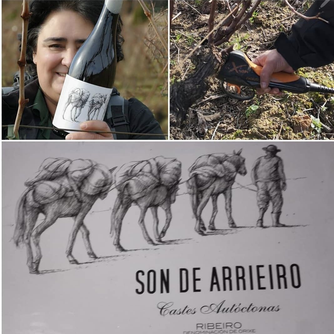 artisanwineattr's tweet photo. Tradición del #ribeiro con Son de Arriero

#BWW #BWW2023 #barcelonawineweek
#barcelonawineweek2023 #vino #vi #vin #wine #wein #ワイン #wineproducer #winemaker #makewine #drinkwine #winelovers #instawine #lovewine #winelover #winegangparty https://t.co/iGvyDE2Ngg