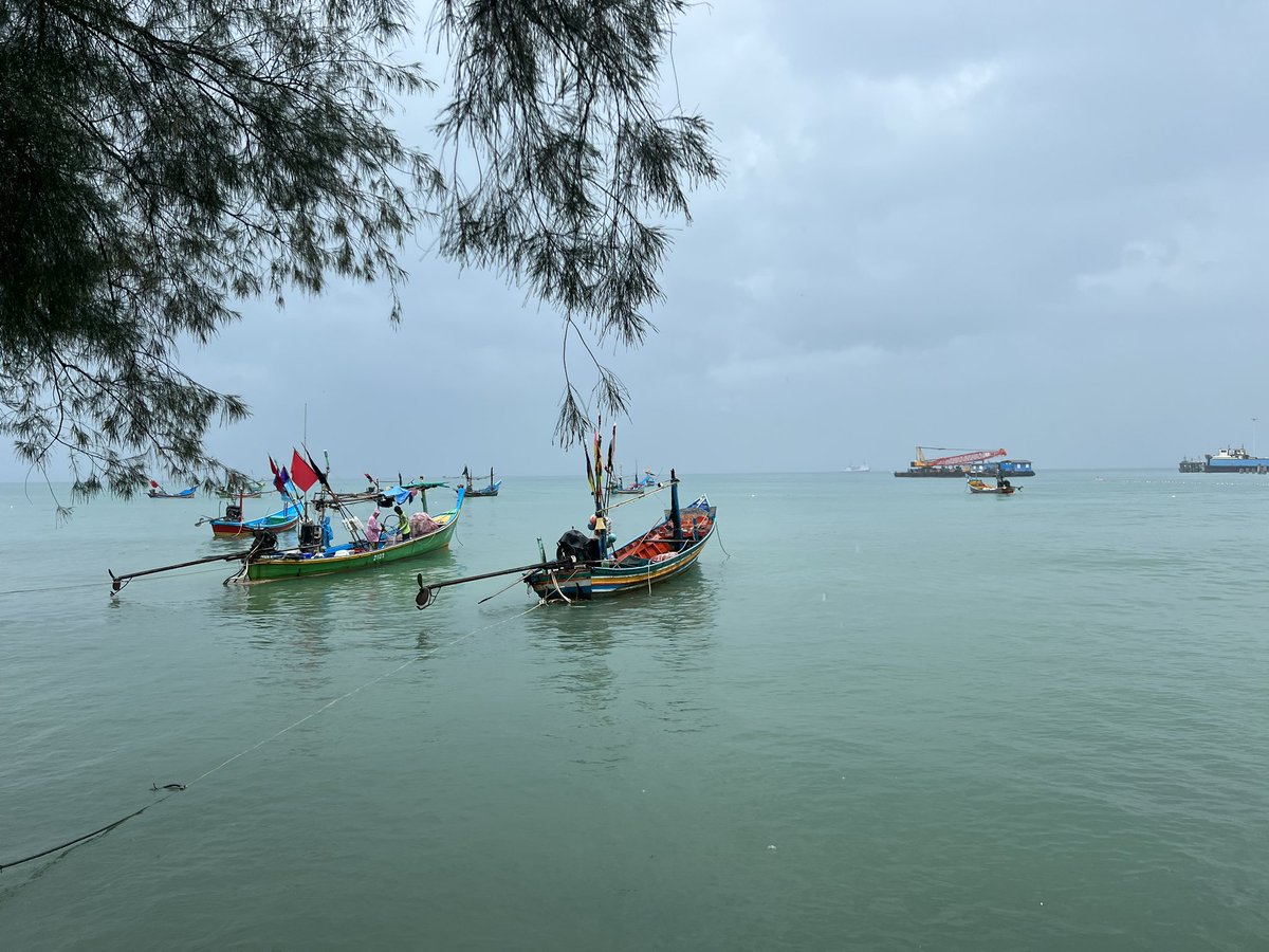 Bangkok_Simon's tweet photo. From fishing boat to market to table 4 hours - this is what rainy #Samui days are made for - best prawns I’ve ever had! #luxurytropicalliving #villaforsale #IntercontinentalSamui reliving our best memories https://t.co/R5dolKR3Ap