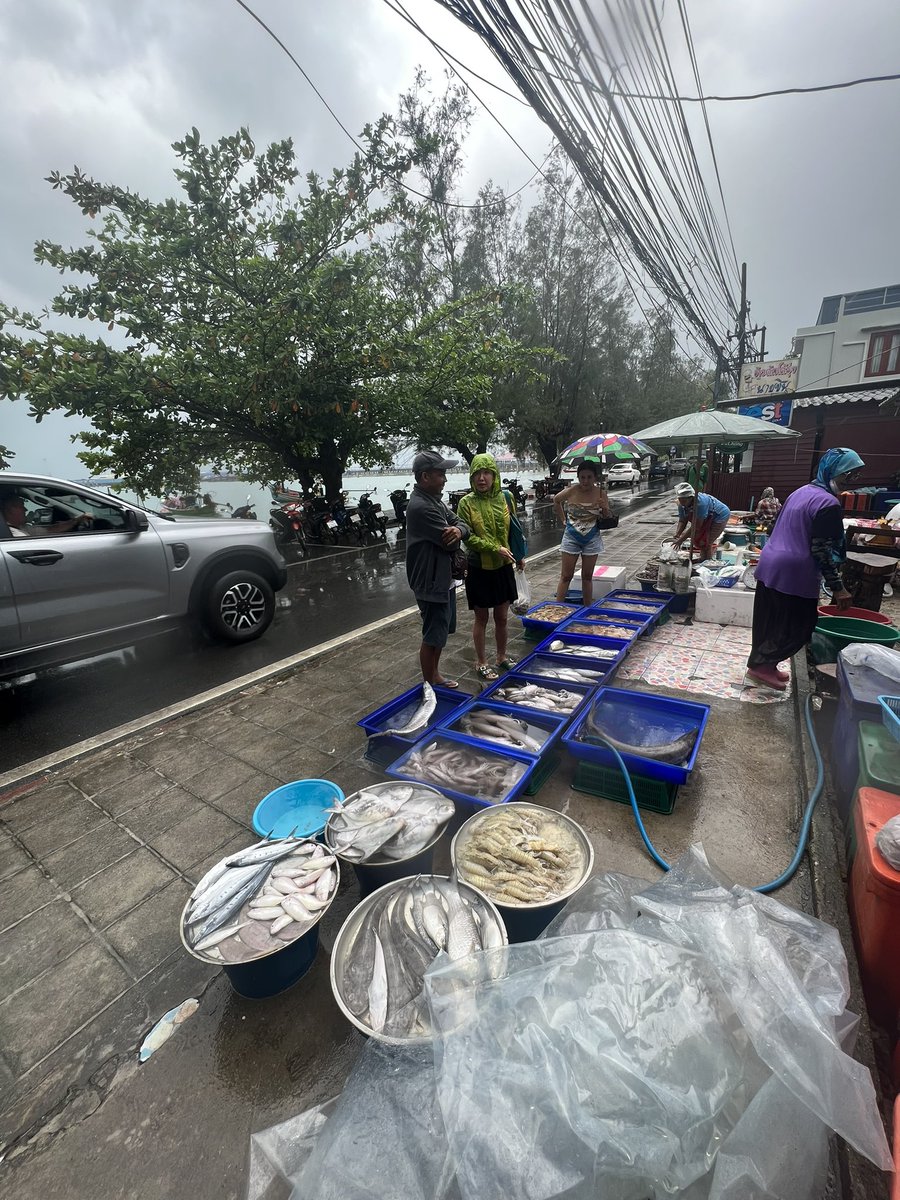 Bangkok_Simon's tweet photo. From fishing boat to market to table 4 hours - this is what rainy #Samui days are made for - best prawns I’ve ever had! #luxurytropicalliving #villaforsale #IntercontinentalSamui reliving our best memories https://t.co/R5dolKR3Ap