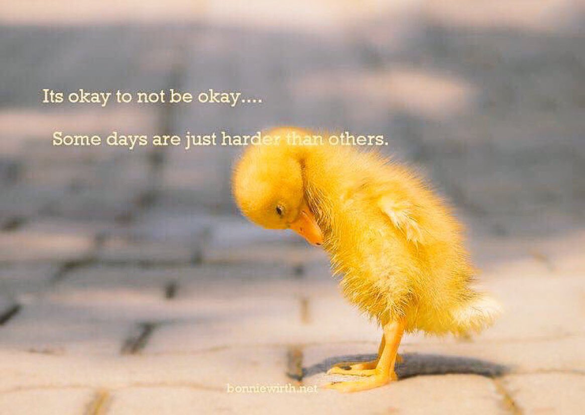 derynrizzi's tweet photo. It’s okay to not be okay....

Some days are just harder than others.

Whether you take the time to listen to a loved one or encourage a friend to ask for help; when it comes to mental health - every action counts. Visit https://t.co/ZfVbvXgD4J to learn more.

#BellLetsTalk https://t.co/JxIz5EkrC8