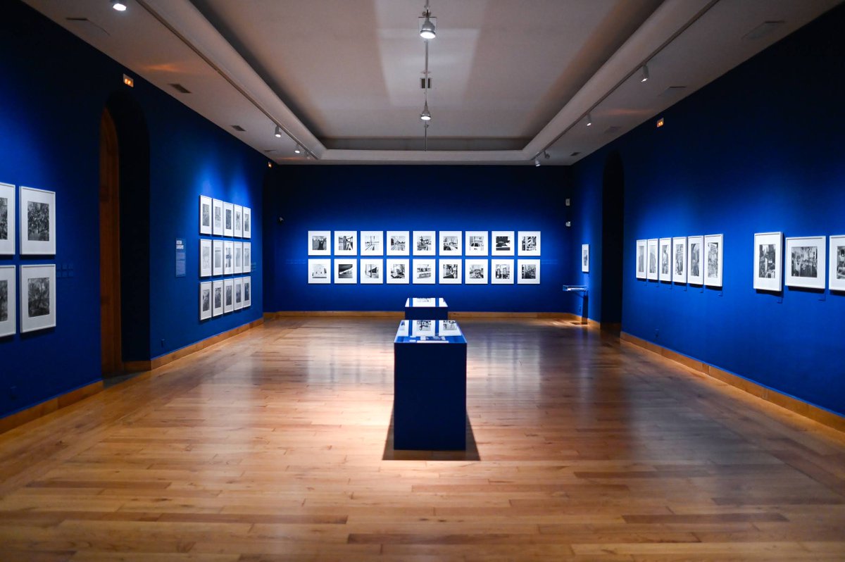 MuseosGijon's tweet photo. Hasta el 29/enero #Sala2CCAI "Lee Friedlander"
"Cuando entornas los ojos para ver una de sus imágenes, las formas, los espacios y la energía general parecen inevitables, equilibrados pero llenos de fuerza, y a menudo de alegría. Todo en sus encuadres importa." Nicholas Nixon https://t.co/nv0ouUPJES