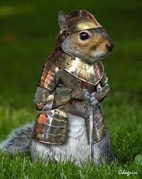 Chat_Squirrel's tweet photo. @PolitiBunny The field of battle may soon be upon us!

mwuhahaha https://t.co/xBCZyQ8RA2