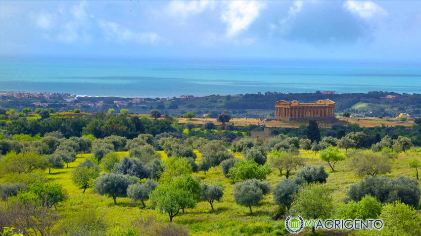 myagrigento's tweet photo. #Agrigento è una splendida città millenaria in cui scoprirai straordinari tesori archeologici e architettonici nella cornice di un mare greco e di una natura incantata. 
#MyAgrigento #Sicily #Travel https://t.co/L7WIVPxGt6 https://t.co/xjLxSO5bQ8