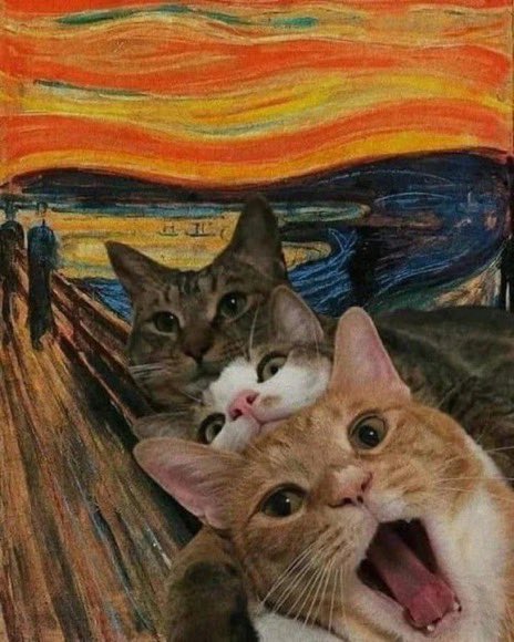 Gooooood Meowning!!!! 🐾☕️😱

#CatsOfTwitter #CatsInArt #Meow