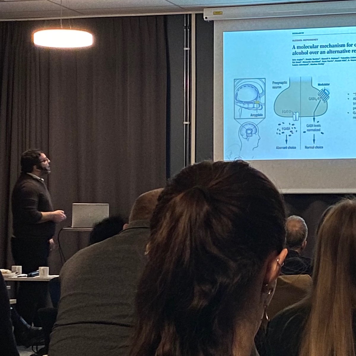 CSAN_LiU's tweet image. What mediates the pathological choice of drugs at the expenses of rewards? Fascinating preclinical evidence presented by @AugierLab