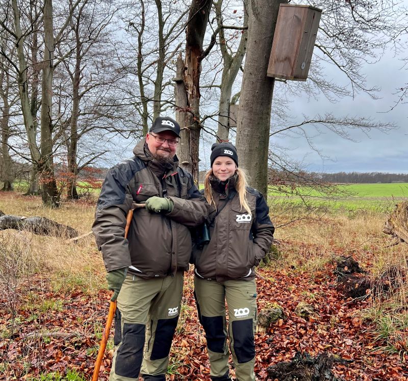<a href="/CopenhagenZoo/">Copenhagen ZOO</a> succeeds with a new #biodiversity concept

Results so far:
4400 Noble chafer larvae bred and released 🪲
400 veteranized trees🌳
9500 Fire-bellied toads bred and released 🐸
179000 Natterjack toads bred and released🐸
150000 European green toads bred and released🐸