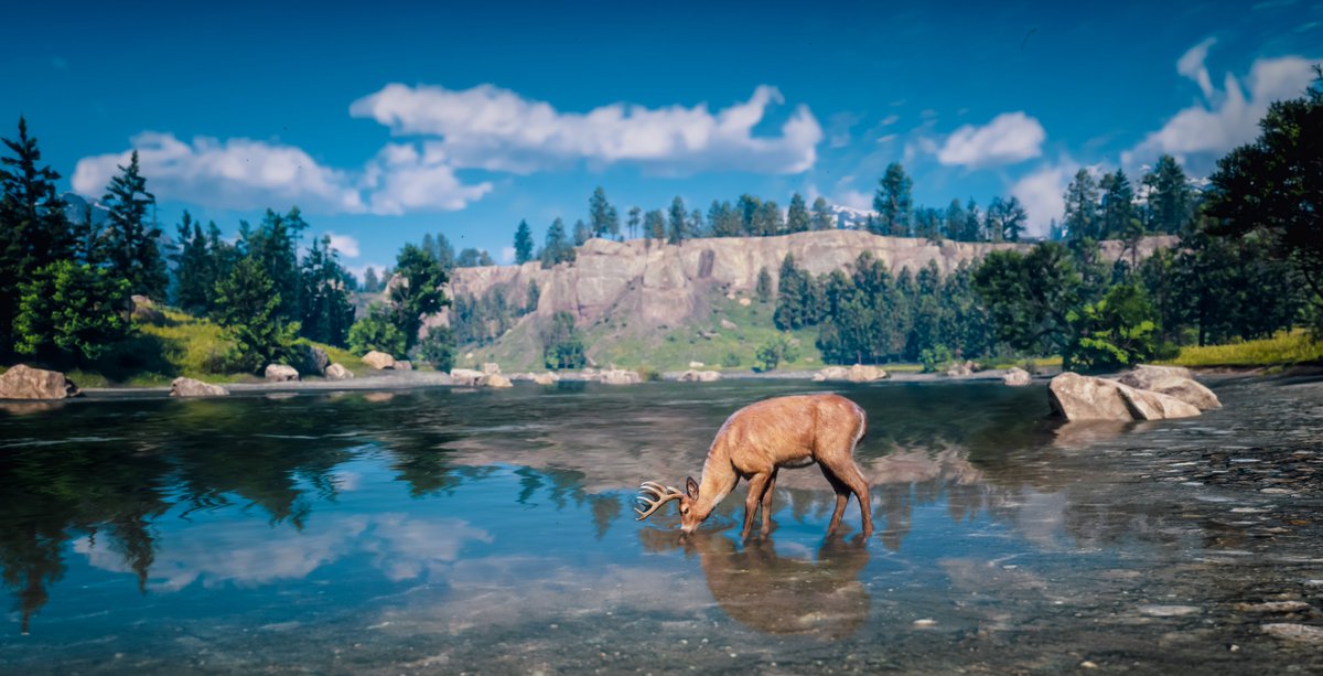 Amby_VP's tweet photo. Red Dead Redemption 2
@RockstarGames https://t.co/obOcHTOr7N