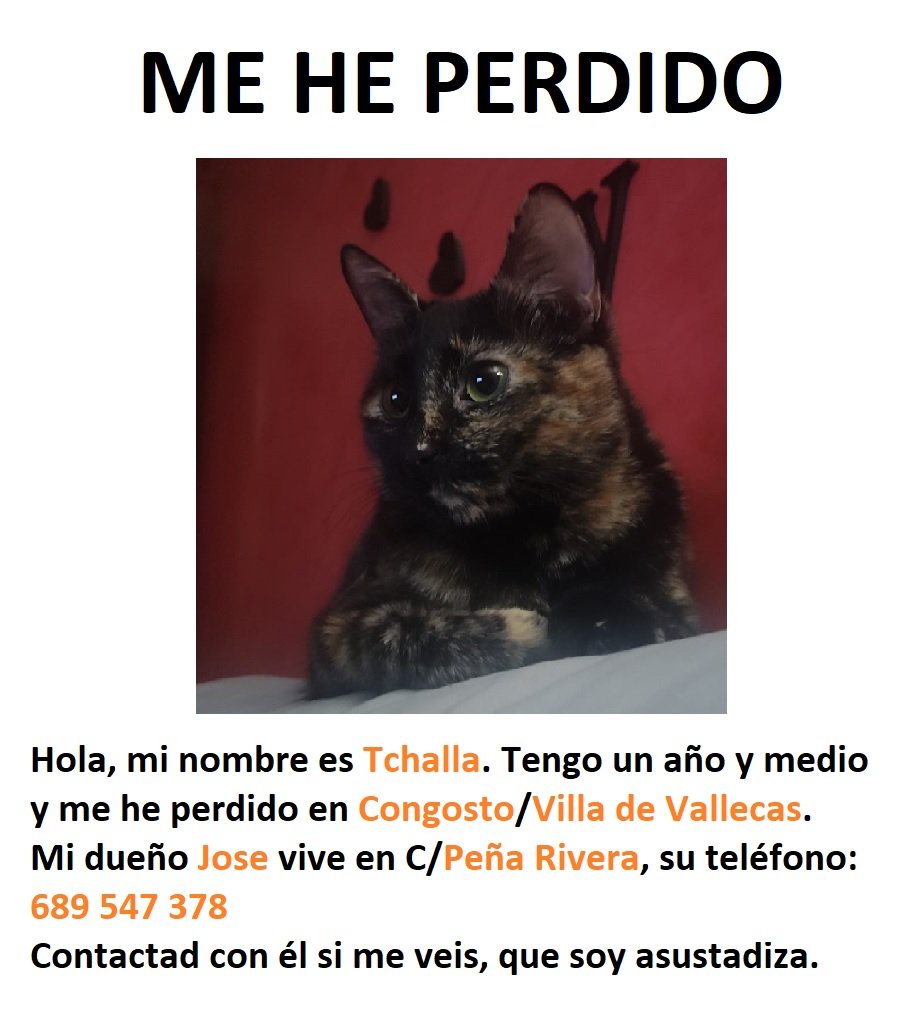 el goso (@goseiote) on Twitter photo 