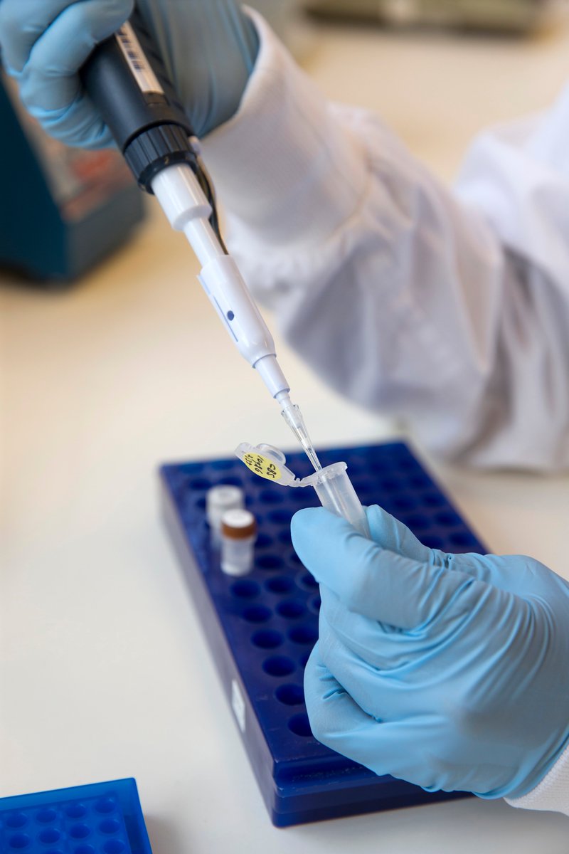 _Westerdijk_'s tweet image. Vacature voor Laboratorium Medewerker / Analist HLO bij onze Collectie. Draag je steentje bij aan de preservatie en kwaliteitscontrole van onze schimmels!  Meer info: vacatures.knaw.nl/job-invite/139…
@_Westerdijk_ @_knaw 
#vacature #analist #schimmel #laboratorium