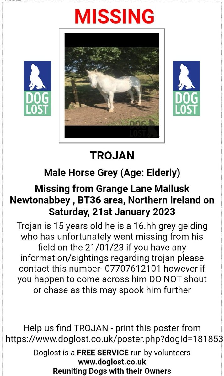 MissingPetsGB's tweet photo. 🐎 TROJAN #MISSING ELDERLY HORSE
Last seen in his field in Grange Lane, Mallusk #Newtonabbey #BT36 Northern Ireland since Saturday, 21st January 2023
Trojan is a 16hh grey gelding, age 15. If you have any information regarding Trojan please make contact https://t.co/B009mfZGwx https://t.co/2CNU1PG6JH