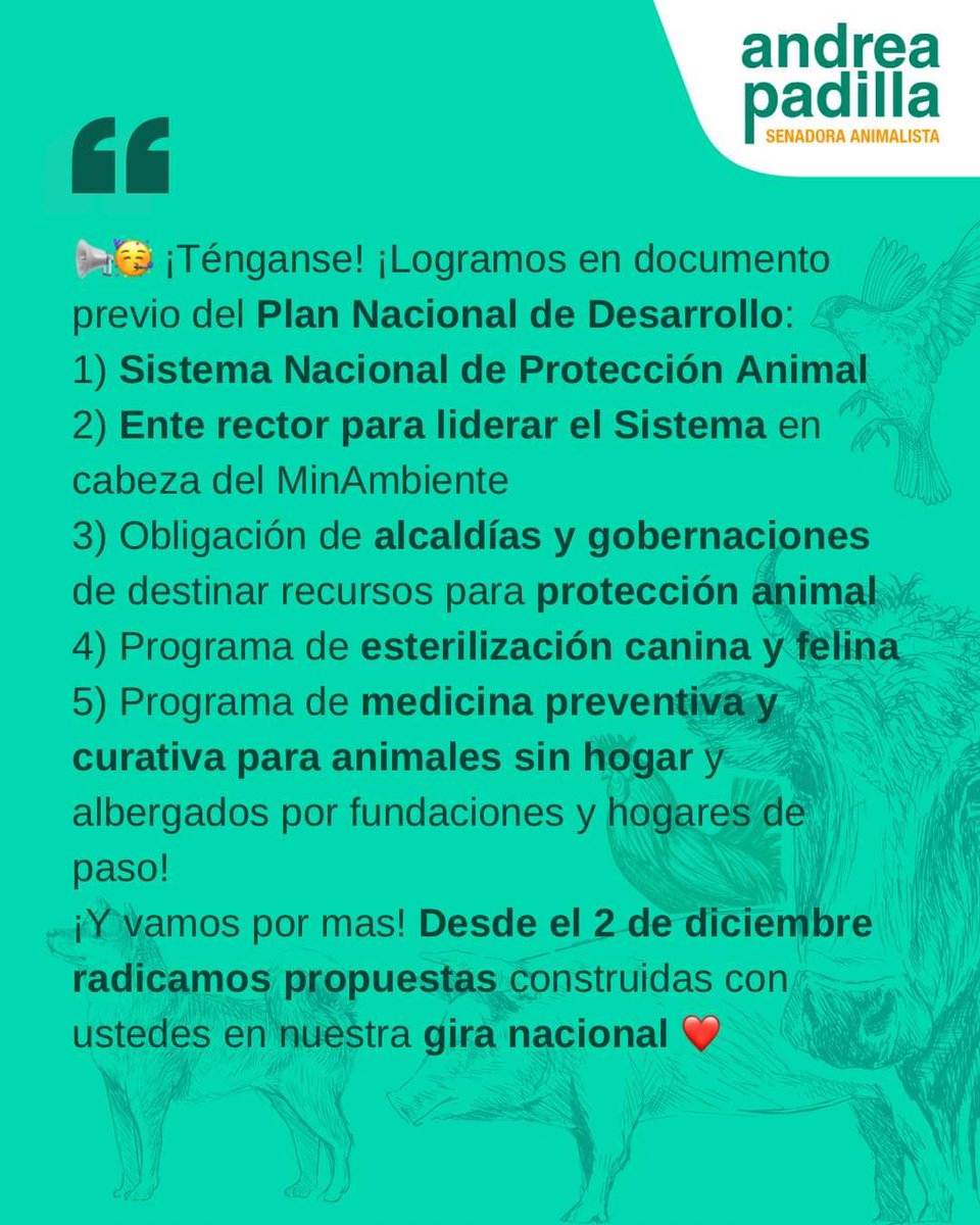 DMininos's tweet photo. @Barraza_E_19
@Majedi_RG
@andreanimalidad
👇👇👇👇👇 https://t.co/j61YkBYdlV