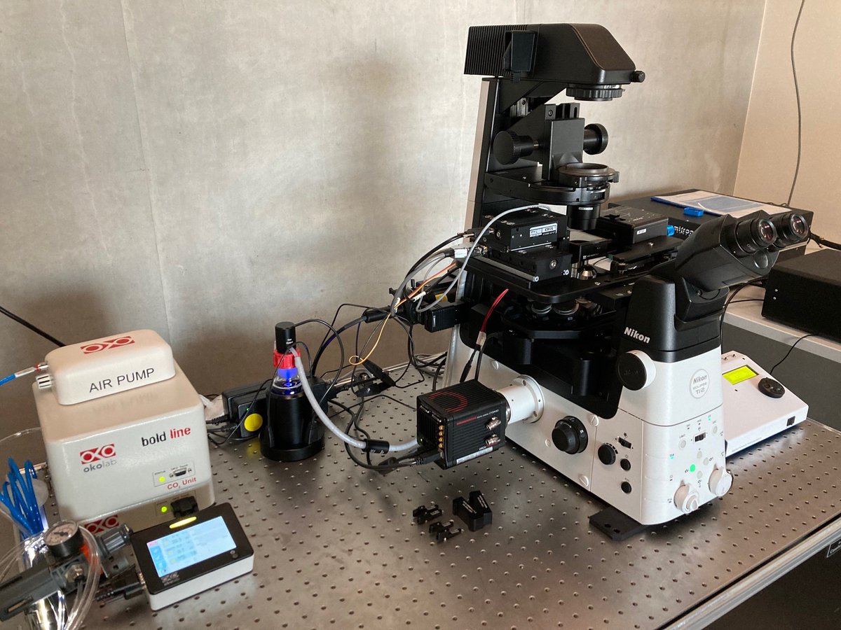 Okolab (@okolabgroup) on Twitter photo Always glad to support our partners! It was nice to get these images from a successful installation at <a href="/biozentrum/">Biozentrum, University of Basel</a>. <a href="/NikonInst/">Nikon Microscope Solutions</a> is running a demo of their Ti2 scope equipped with the <a href="/MizarImaging/">Mizar Imaging</a> TILT #LightSheet system and our Bold Line #TopStageIncubator.
#CountOnOkolab Always glad to support our partners! It was nice to get these images from a successful installation at <a href="/biozentrum/">Biozentrum, University of Basel</a>. <a href="/NikonInst/">Nikon Microscope Solutions</a> is running a demo of their Ti2 scope equipped with the <a href="/MizarImaging/">Mizar Imaging</a> TILT #LightSheet system and our Bold Line #TopStageIncubator.
#CountOnOkolab
