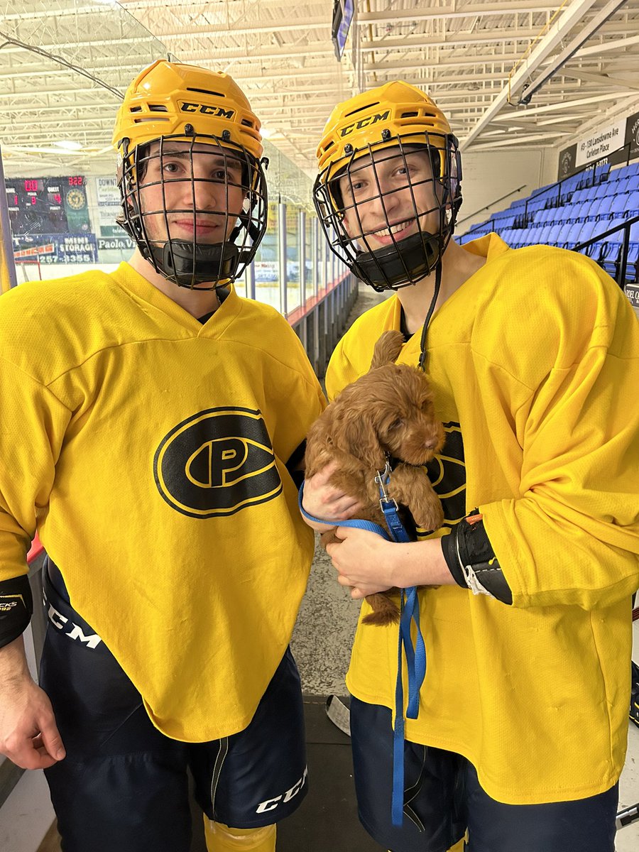 CPCANADIANS's tweet photo. In connection with #bellletstalk , we would like to welcome Willow as the newest member of the CPC family! Willow will be seen around the team on off days to brighten days during the stressful season… https://t.co/ZwqSmVDgZu