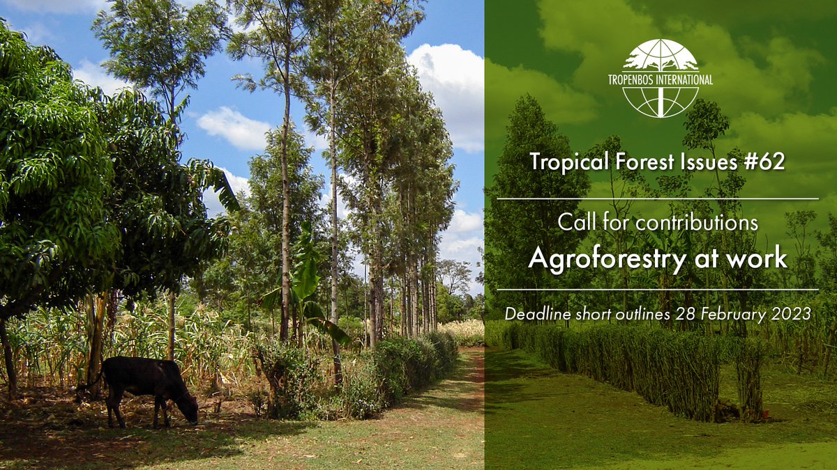 Do you have a story on successful agroforestry that can help its widespread adoption?

Send us a short summary by 28 February 2023
⬇️ call for contributions:
English - bit.ly/3XB5nr5
Spanish - bit.ly/3Hxv725
French - bit.ly/3wrsQPp

@ETorquebiau <a href="/Cirad/">Cirad</a>