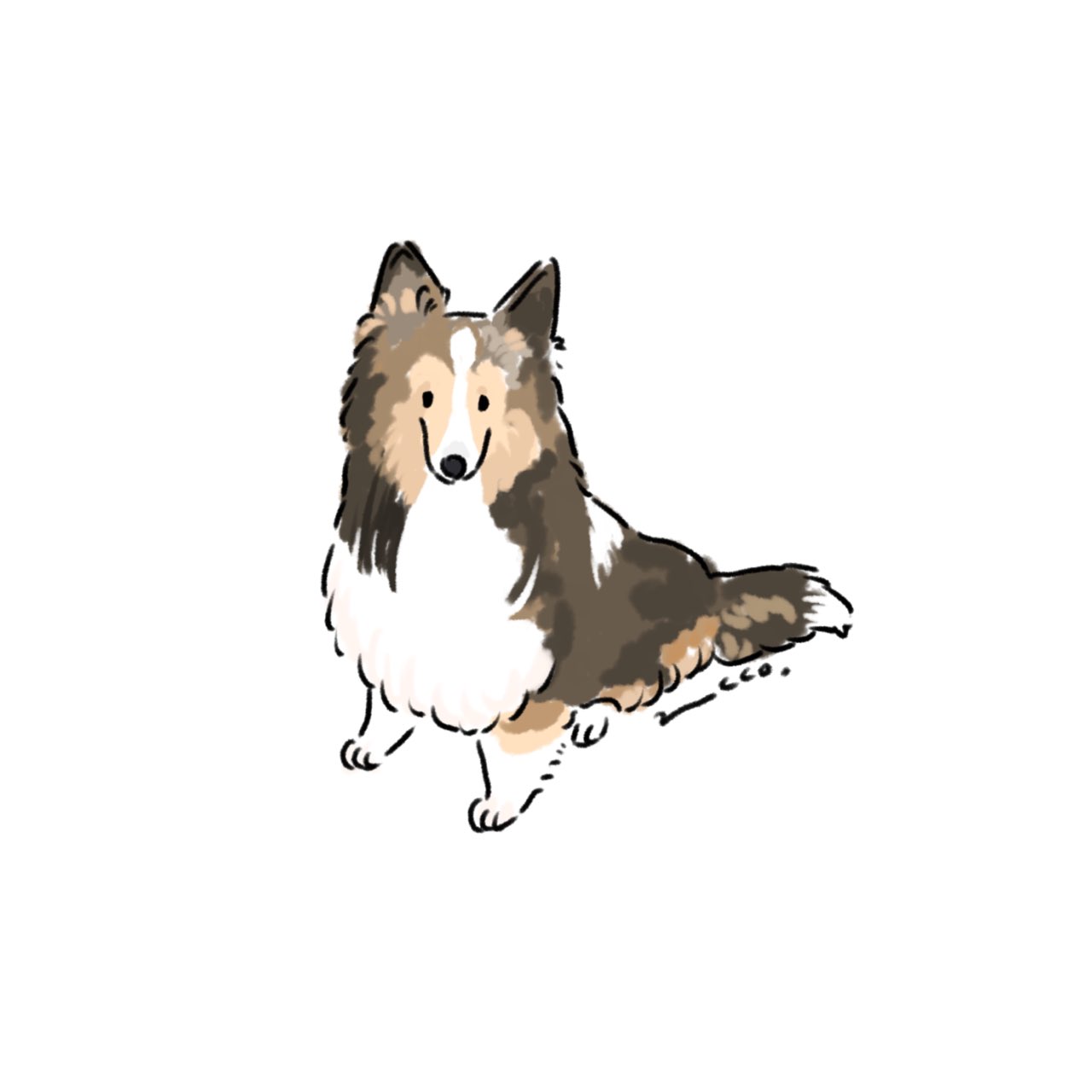 ペットの似顔絵オーダー　シェルティ ペット似顔絵 犬似顔絵 シェルティイラスト(愛犬オーダー うちの