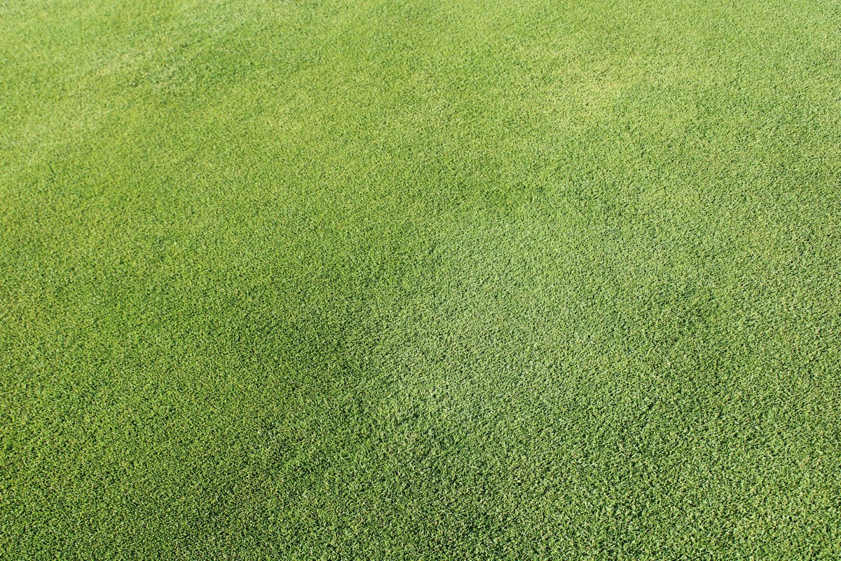 Atlas Turf Arabia tweet media