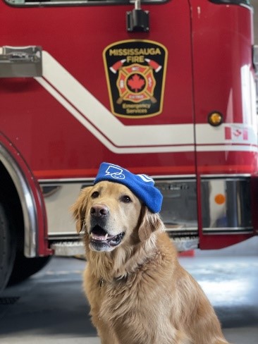 Mississauga Fire tweet media