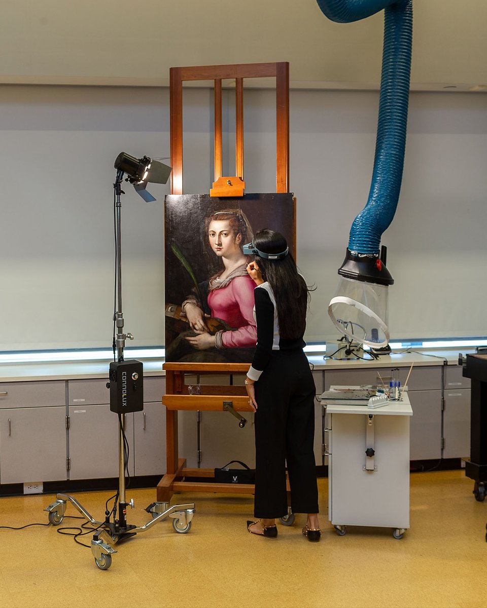 clevelandart on Twitter "CMAConservation has been working on treating