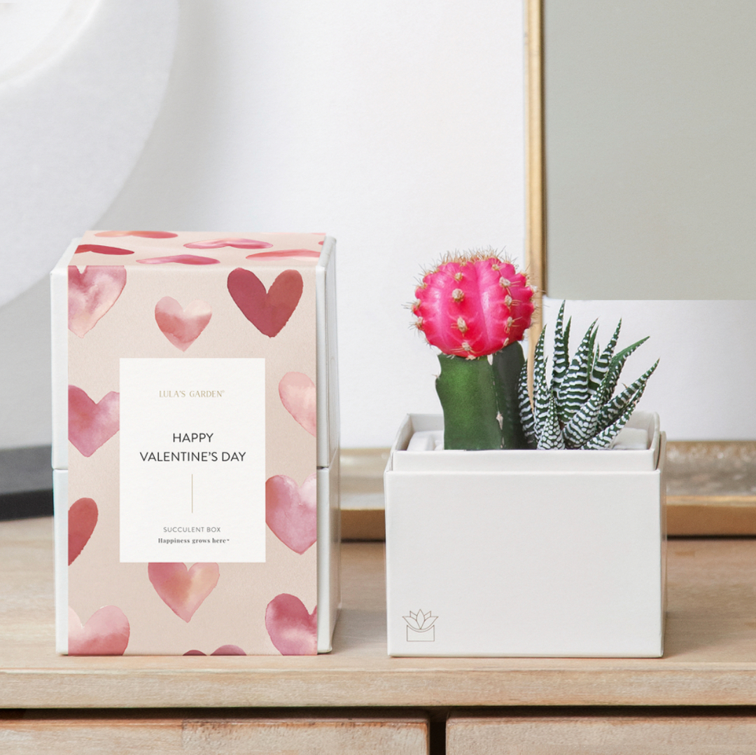 Pink? For Valentine's Day? Groundbreaking. Got to love a good The Devil Wears Prada reference! 💕 Gift our fan favorite combination - a Pink Moon Cacti and Haworthia - the Rosé Garden. 🌿
