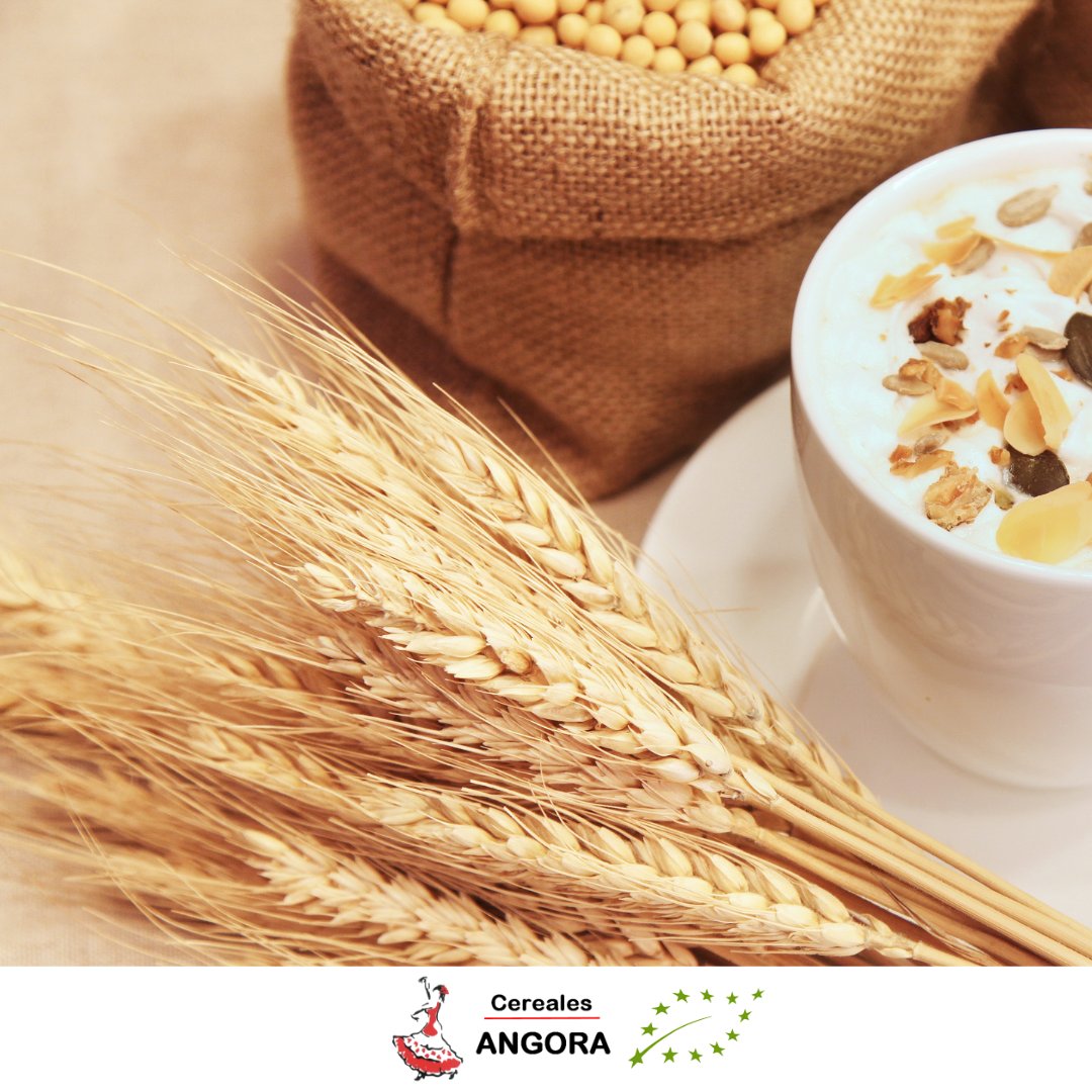 Nuestras materias primas ecológicas cuentan con garantía de máxima calidad.

Todas nuestras mercancías son tratadas con C02 para la eliminación de insectos y seleccionamos las mejores materias primas para obtener la más alta calidad para el producto final. 👌