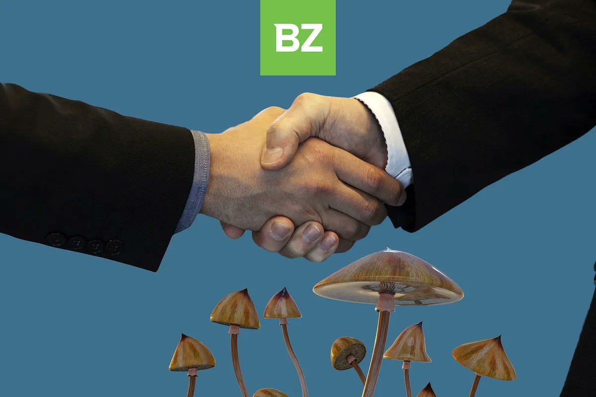 Let’s do a quick tour of some of the latest announcements made by psychedelics companies over the past week. We promise you’ll be informed in less time than it takes to brew your coffee. 
buff.ly/3iVKxUh