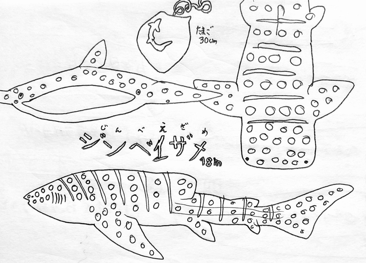 サメが好きすぎて、よくわからないクイズとか漫画も作っていました。 