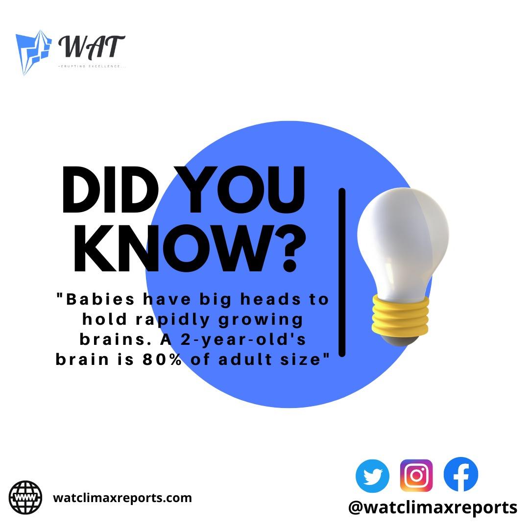 WatClimax's tweet photo. Did You Know?
"Babies have big heads to hold rapidly growing brains. A 2 year old's brain is 80% of adult size"
#DidYouKnow #Watclimaxreports #babies #WATclimaxreports #adult #watclimaxreports https://t.co/p93H6vRzQV